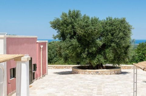 La villa a Ostuni dispone di 3 camere da letto e può ospitare 9 persone. L'alloggio grazioso e completamente attrezzato di 120 m², con vista sulla spiaggia/mare e sul giardino. Situato in un ambiente ideale per famiglie e in una zona boscosa. Dispone...