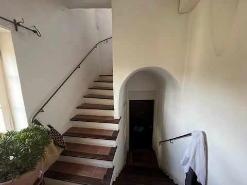photo no. 12