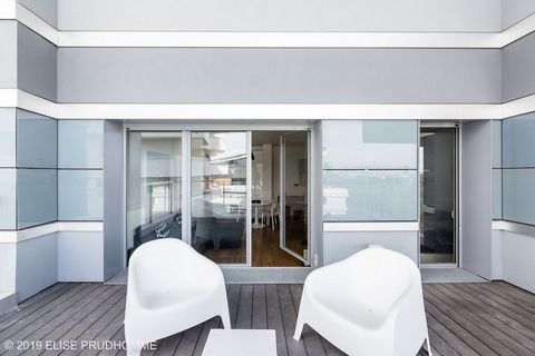 photo no. 11