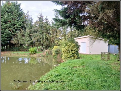 photo no. 2