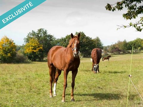 CORPS DE FERME SUR 6 HECATRS DE TERRAIN Venez découvrir ce corps de ferme , dans un environnement très calme, aucune nuisance. Maison d'habitation d'environ 180 M² , possibilité de faire deux logements indépendants plus un gîte d'environ 50 M², un Ha...