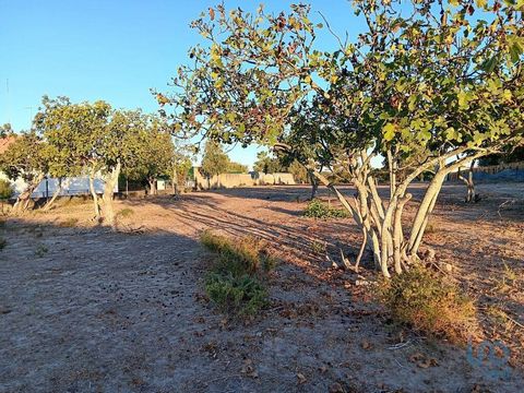 Quinta em Paúl Coruche Procura um lugar privilegiado e tranquilo para viver? Construir a sua casa de sonho e desfrutar de um terreno amplo com pinhal, sobreiros , cultura arvense, oliveiras, laranjeiras, figueiras e hortejo e ainda ter água própria d...