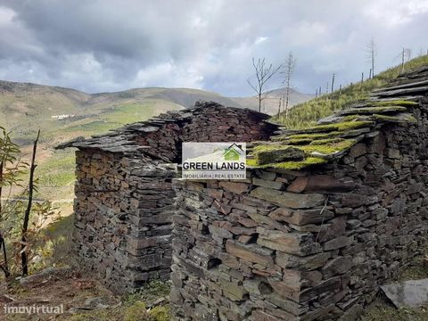 Dieser Bauernhof mit etwa 13000 Metern befindet sich in einer privilegierten Lage für diejenigen, die eine totale Gemeinschaft mit der Natur in ihrem reinen Zustand suchen, hat Wasser, das im Überfluss aus dem Berg sprießt, etwas fruchtbares Land und...