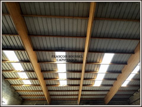 photo no. 2