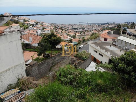 Ausgezeichnetes Grundstück mit Blick auf die Bucht von Funchal. Wenn Sie auf der Suche nach einem Grundstück in Funchal mit Aussicht sind, ist dies Ihre einmalige Gelegenheit. Es ist 5 Minuten vom Zentrum von Funchal entfernt, in einer ruhigen Gegend...