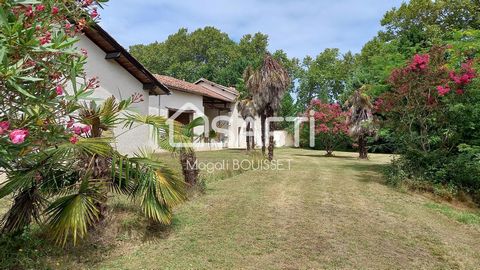 Située à Boulogne-sur-Gesse (31350), cette propriété offre un cadre de vie exceptionnel au cœur de la nature, à proximité d'une route. Avec un vaste terrain de 23800 m², elle bénéficie d'un parc arboré de plus de 2 hectares 38, au charme authentique,...