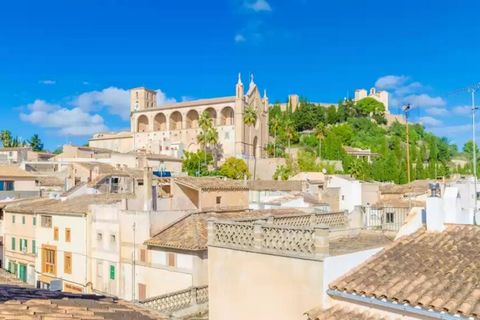 Desde la terraza superior de esta impresionante casa de 4 plantas, situada en el bullicioso centro histórico de la ciudad, disfrutarás de un estupendo desayuno, de una interesante lectura en las hamacas o de un buen vino por la noche mientras admiras...