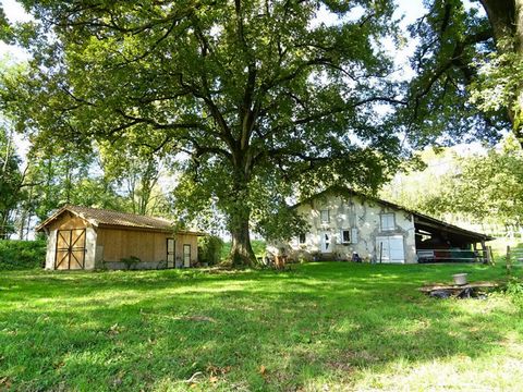 Située en campagne au calme maison Chalossaise 73 m² à finir de rénover. Proche du bourg de Mugron et ses commerces, 3km500. Agréable parc boisé d'une superficie totale de 2ha avec magnifiques chênes centenaires devant la maison et parcelles pâturage...