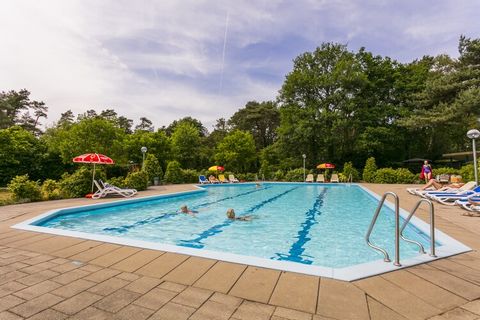 Questo bellissimo parco vacanze offre una varietà di alloggi di lusso. I Bos Lodges si trovano in una posizione meravigliosamente tranquilla ai margini della foresta e sono disponibili in 4-per. (NL-7475-16), 5 pers. (NL-7475-17) e 6 pers. (NL-7475-1...