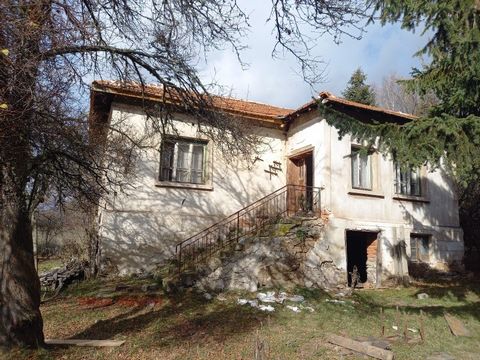 Ich biete Ihnen ein solides Haus im Dorf Alino an, das in einem großen Hof mit einer Fläche von 1340 qm gebaut wurde. von denen 710 reguliert sind und der Rest der Quadratmeter nicht reguliert ist. Es verfügt über drei Zimmer und einen Flur auf der E...