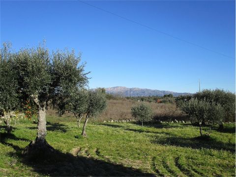 Magnificent property with a total area of 3,000 m2. This farm consists of a construction in granite stone, with an area of 35 m2 ideal to renovated and transform into living area. It has a well and a boare oll. Several olive trees and fruit trees. Fe...