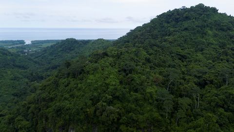 Santa Marta si trova nei Caraibi, nel nord della Colombia; È la città considerata una delle 10 destinazioni turistiche più sostenibili al mondo, ed è diventata la prima destinazione di investimento per progetti immobiliari di turismo sostenibile. Que...