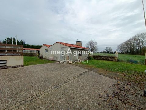 photo no. 10