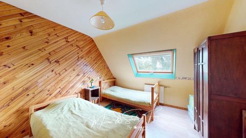 photo no. 10