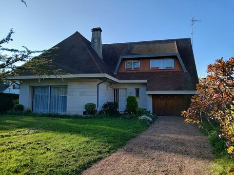 photo no. 13