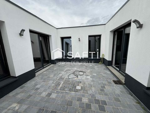 photo no. 11