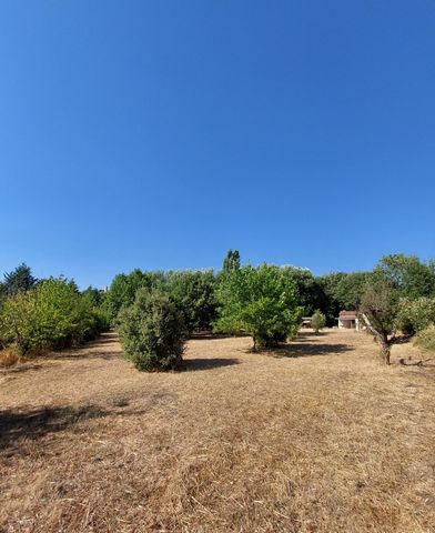 photo no. 6