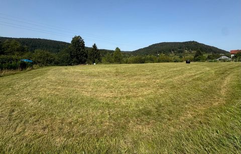 Terrain constructible - 88400 - 1949 m2