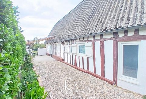 photo no. 18
