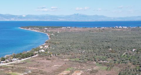 Property Code. 11728 - Agricultural FOR SALE in Thasos Ormos Prinou for € 50.000 . Discover the features of this 840 sq. m. Agricultural: Distance from sea 20 meters, Distance from nearest village: 1500 meters, facade length: 10 meters, depth: 84 met...
