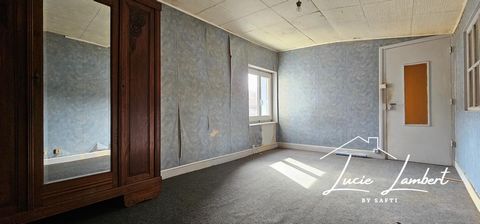 photo no. 6