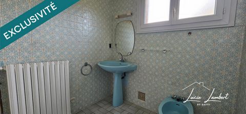 photo no. 11