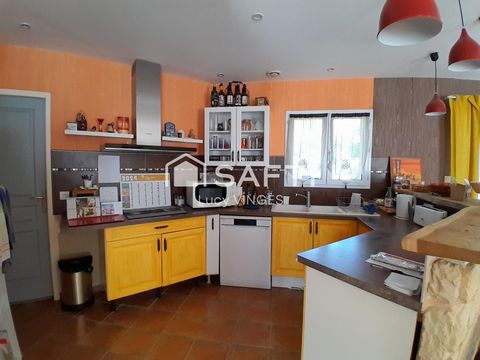 photo no. 2