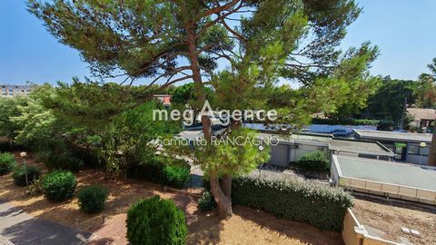 photo no. 10