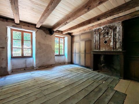 photo no. 6