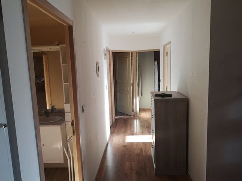 photo no. 5