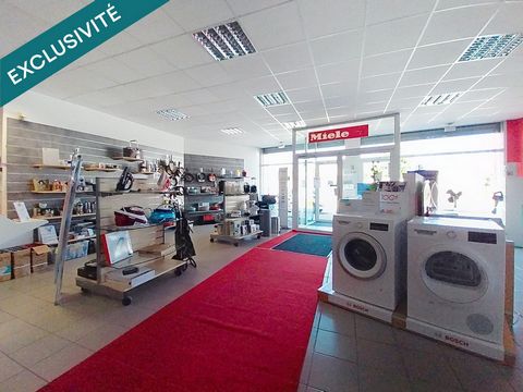 photo no. 2