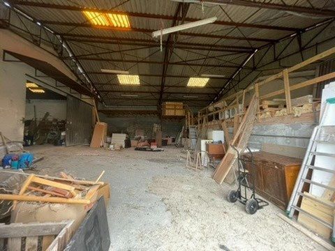 photo no. 8