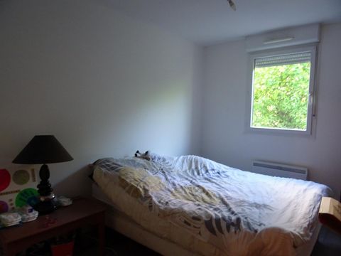 photo no. 6