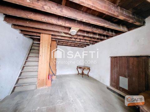 photo no. 6