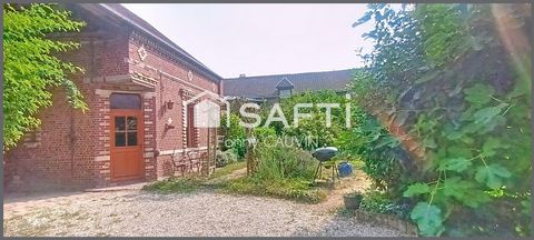 photo no. 11
