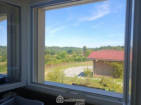photo no. 12