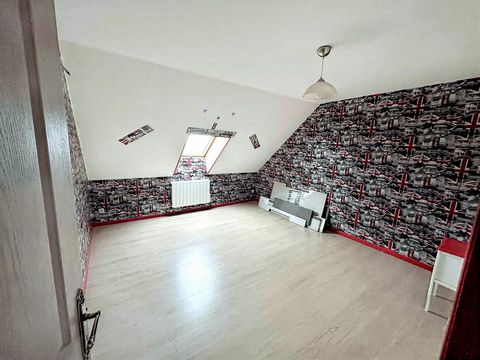 photo no. 11