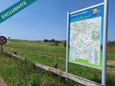 Beau et grand terrain agricole de 29 ares environ