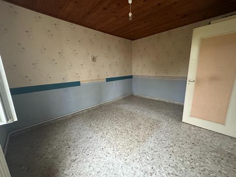 photo no. 6
