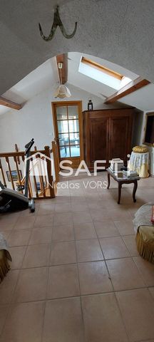 photo no. 11