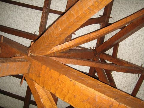 photo no. 8