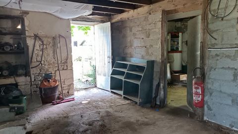 photo no. 3