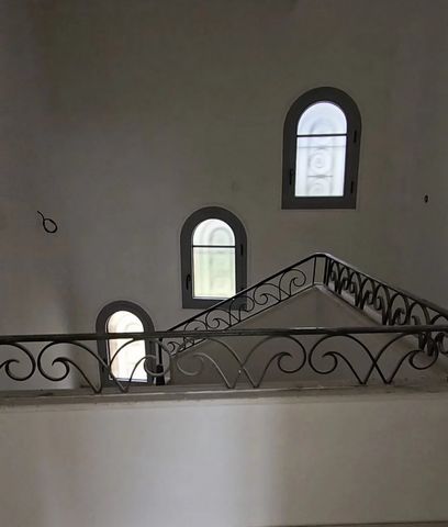 photo no. 6
