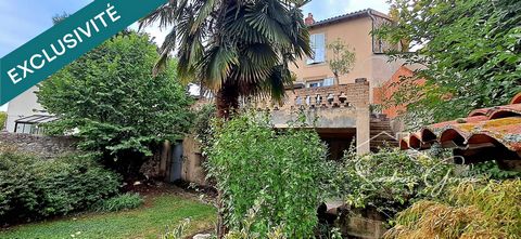 photo no. 16