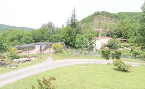 photo no. 12