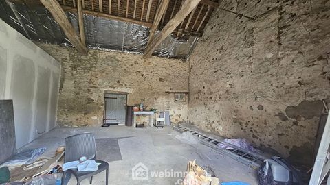 photo no. 10