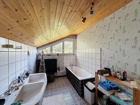 photo no. 7