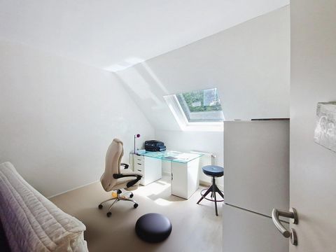 photo no. 11