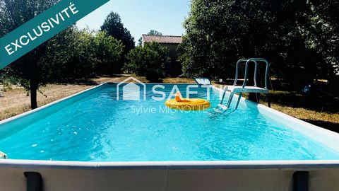 photo no. 11