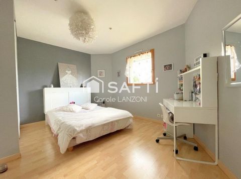 photo no. 9